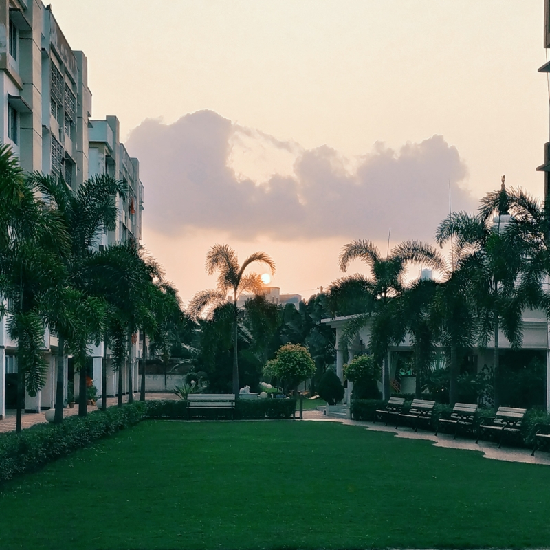 PARK